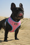 ‘Puppy Love’ (Pink/Blue) Reversible Harness