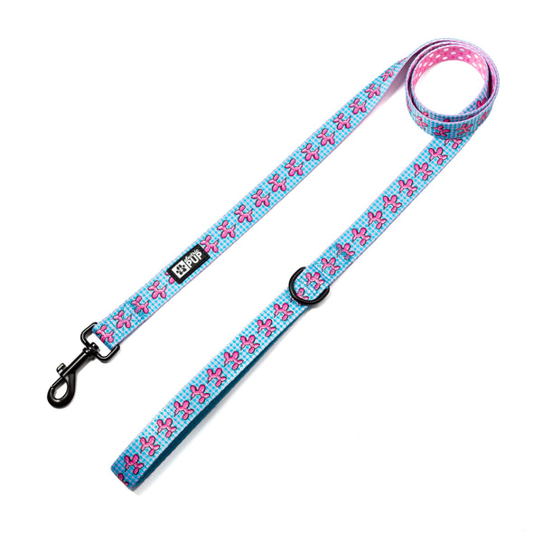 ‘Pawty Animal’ Leash