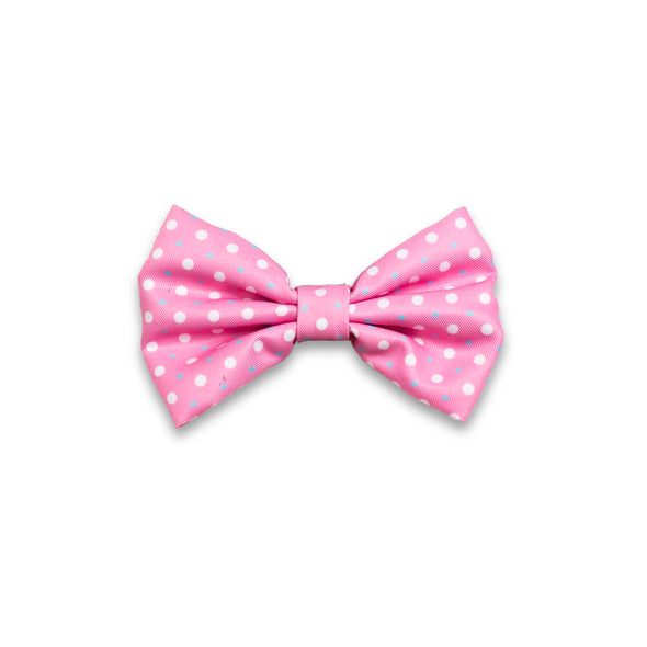 ‘Puppy Love’ (Pink/Blue) Bow tie