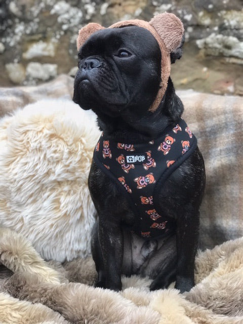 Electric Ted Reversible Harness
