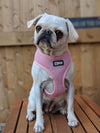 Pink/Gray Reversible Harness